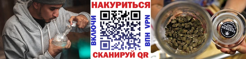 Псилоцибиновые грибы Майкоп