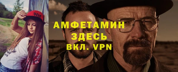 сатива Вяземский