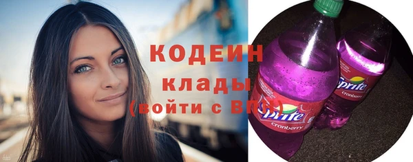 сатива Вяземский