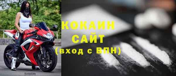 сатива Вяземский
