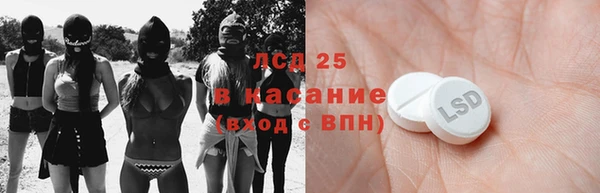 сатива Вяземский