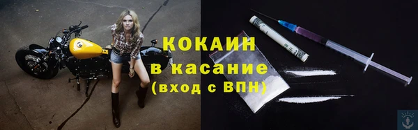 сатива Вяземский