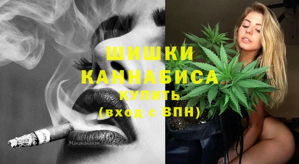 сатива Вяземский