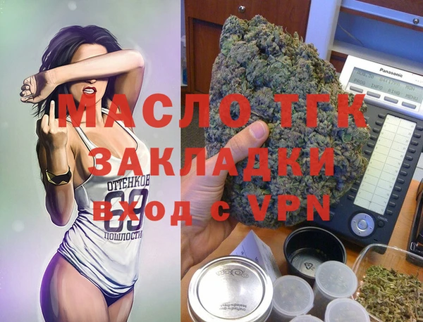 сатива Вяземский