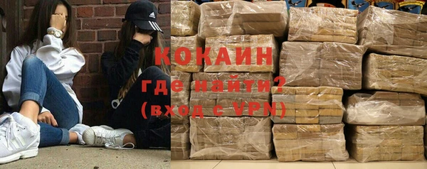 сатива Вяземский