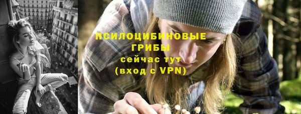 твердый Вязники