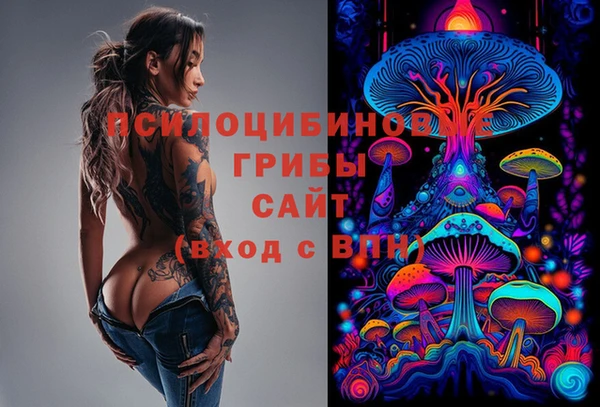 спайс Горно-Алтайск