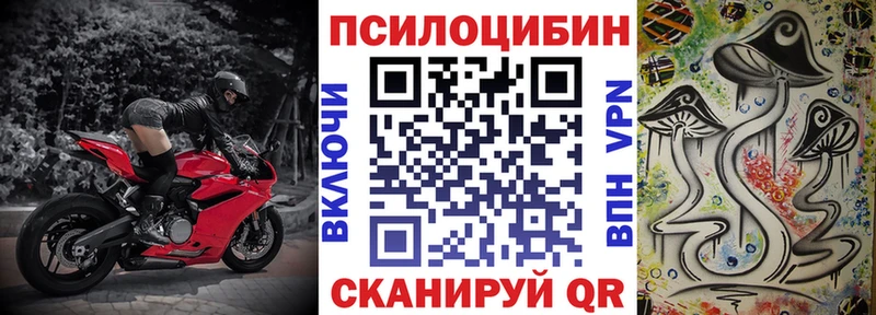 купить сайты Майкоп Галлюциногенные грибы мицелий